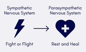 Fight Flight Rest Heal blue bg Fight Flight Rest Heal blue bg