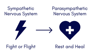 Fight Flight Rest Heal white bg-1